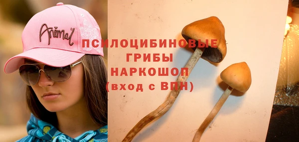 mdpv Вязьма