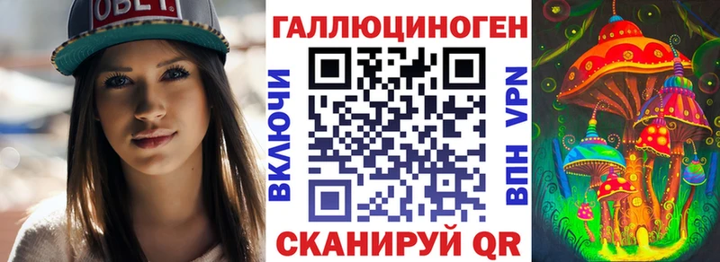 Купить где  Красный Холм  Галлюциногенные грибы Psilocybe 